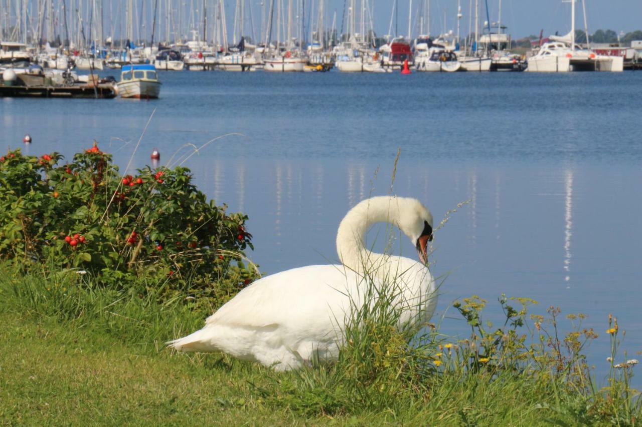 2Zi-Ferienwohnung Am Suedstrand Mit Eigenem Parkplatz Perfekt Fuer Familie Burgtiefe auf Fehmarn Exterior foto